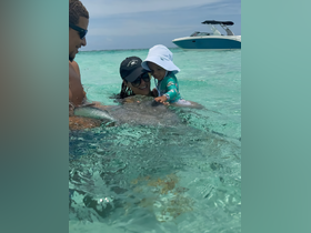 A joyful moment as a child interacts with a stingray in shallow waters, creating unforgettable memories of wildlife encounters in a tropical paradise.
