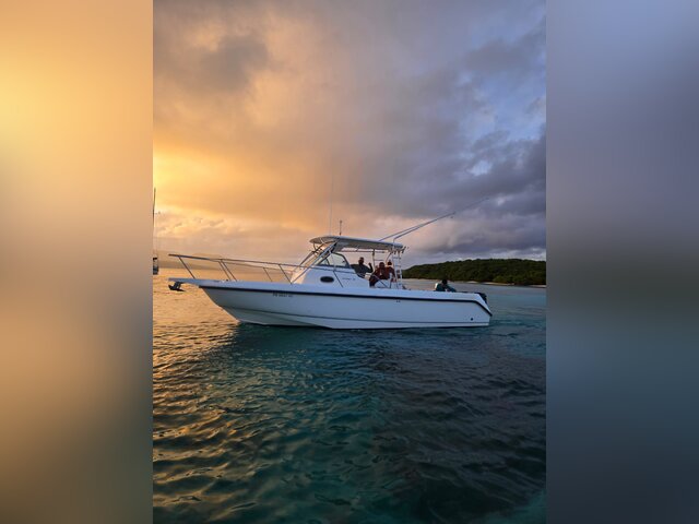 Listing image 1164027