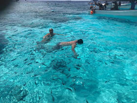 Two individuals enjoy snorkeling in crystal-clear waters, surrounded by schools of fish — a perfect highlight of a tropical adventure.