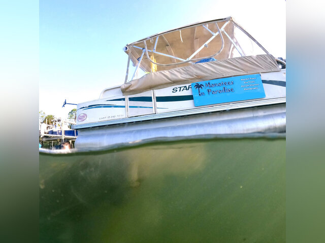 Listing image 1172955