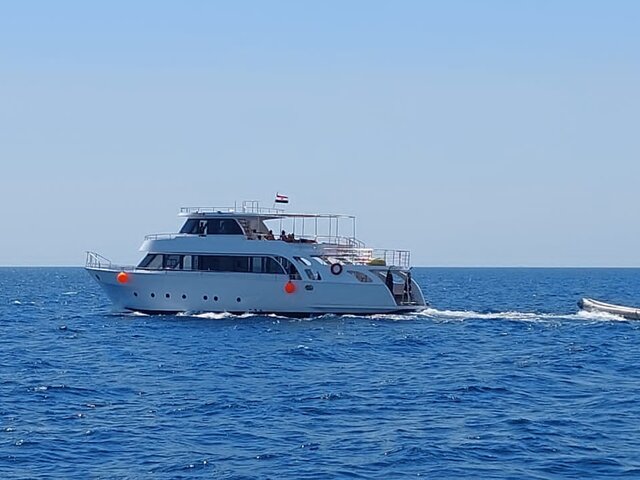 Listing image 1165426