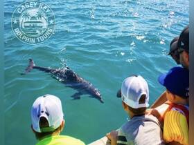Children and adults enjoy a close encounter with dolphins in the clear waters, showcasing the excitement of wildlife tours in a natural setting.