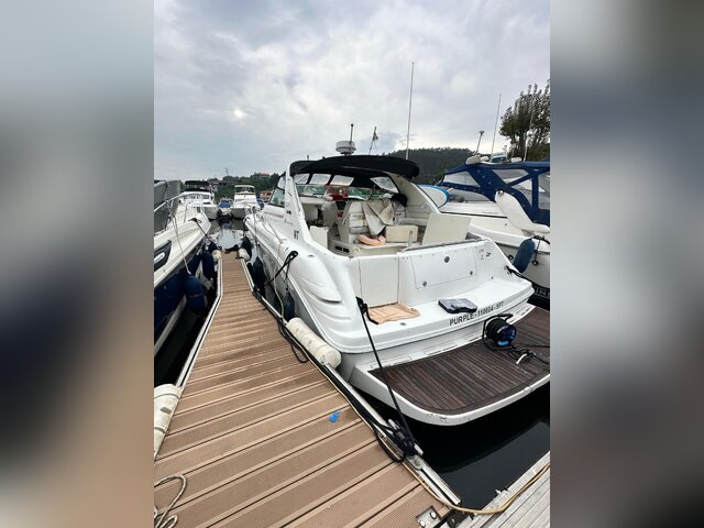 Listing image 1164397