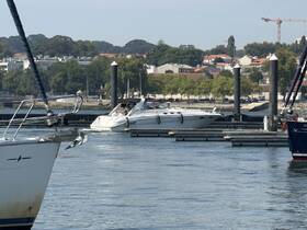 A sleek speedboat is docked at the marina, showcasing a vibrant waterfront scene with lush greenery in the background.