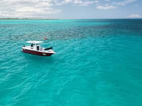 A stunning aerial view of a speedboat cruising through crystal-clear turquoise waters, perfect for exploring the beautiful coastline.