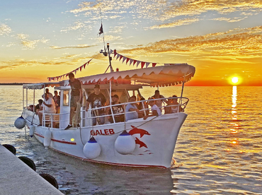 Galeb Boat Tours
