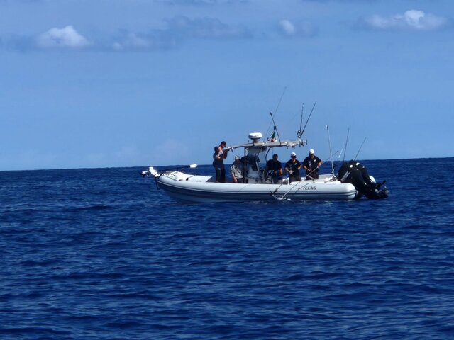 Listing image 1164753