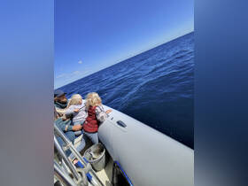 A family enjoys a day on the water, with children leaning over the side of the boat to explore the ocean — a perfect moment of adventure and discovery.