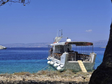 Batalo Boat Tours