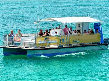 Destin Expeditions: Dolphin/Crab Island Trips