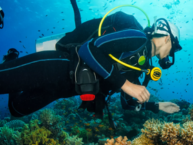 A diver explores vibrant coral reefs while observing marine life, showcasing the beauty of underwater adventures.