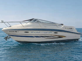 A sleek speedboat glides through clear waters, showcasing its elegant design and perfect for thrilling adventures on the sea.