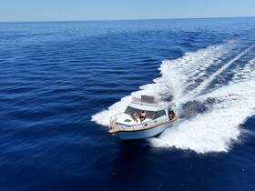 A speedboat glides through the deep blue waters with a group of friends enjoying the ride — perfect for thrilling adventures on the open sea.