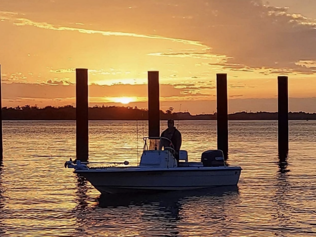 Listing image 1180282