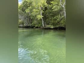 A serene view of a green riverbank surrounded by lush trees, creating a tranquil natural setting.