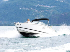 A sleek speedboat cuts through the water with a confident driver at the helm, showcasing the thrill of boating on a scenic lake.