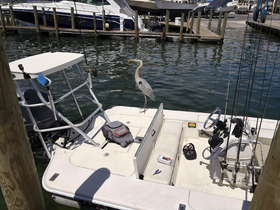 A heron stands on the edge of a fishing boat at the marina, showcasing a serene moment of wildlife interaction in a boating environment.