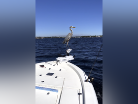 A majestic heron stands on the bow of a boat, showcasing a serene moment of wildlife interaction on the water.