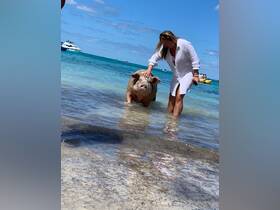 A woman interacts with a friendly pig in shallow waters, showcasing a unique wildlife experience in the Bahamas.