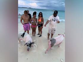 A group of friends interacts with swimming pigs on a beautiful beach, creating a memorable wildlife experience in the Bahamas.