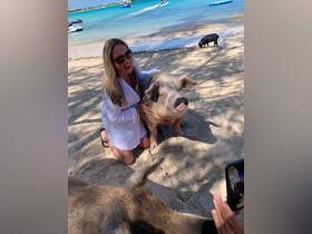 A joyful interaction between a woman and a friendly pig on the beach, showcasing a unique wildlife experience in the Bahamas.