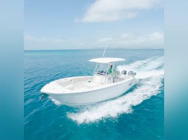 Charter of the Caribbean – Icacos or Palomino
