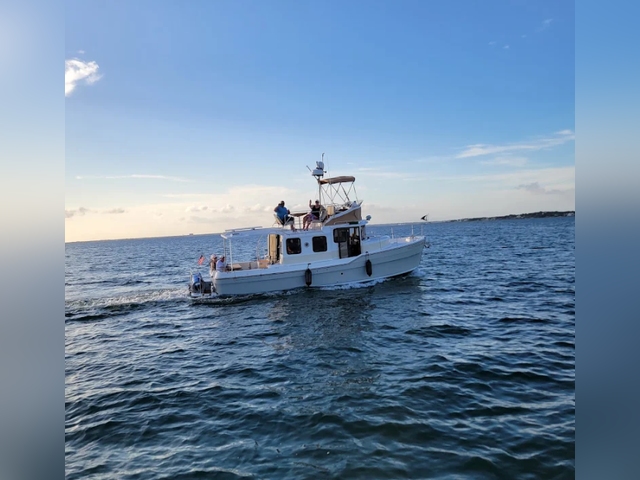 Listing image 1172432