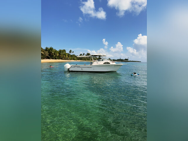Listing image 1166404