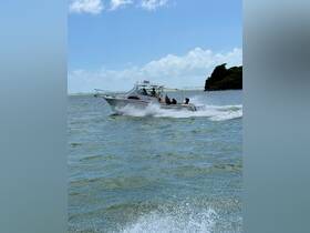 A lively group enjoys a thrilling ride on a boat, capturing the excitement of on-water adventures amidst beautiful scenery.