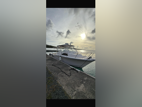 A sleek boat docked at the pier, illuminated by the soft glow of the setting sun — perfect for fishing trips or leisurely cruises.