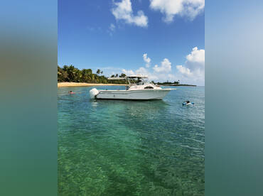 Marea Charters