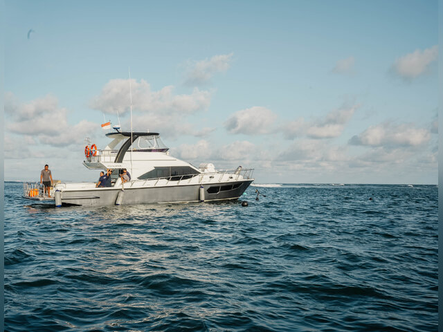 Listing image 1166463