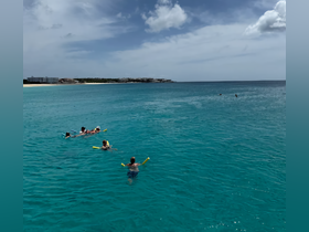 A group of friends enjoys a refreshing swim in crystal-clear waters, perfect for snorkeling and beach activities.