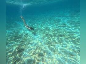 A swimmer dives gracefully into the crystal-clear waters, showcasing the beauty of underwater exploration — perfect for snorkeling adventures.
