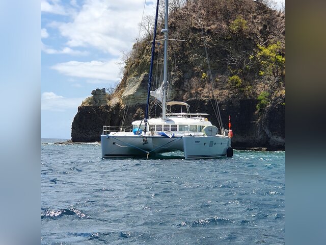 Listing image 1167120