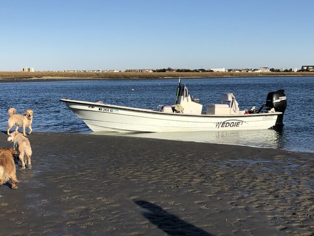 Listing image 1167173