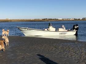 A charming scene featuring a boat named 'WEDGIE2' anchored near the shore, with playful dogs enjoying the sandy beach — a perfect day for outdoor adventures.