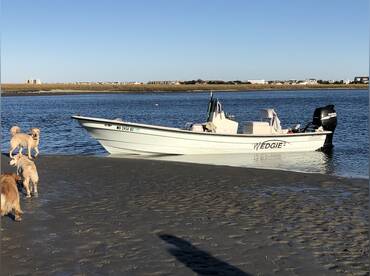 Captain Tilly OC Charters – Wedgie²