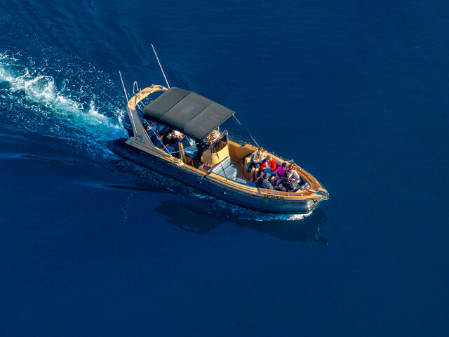 Listing image 1167216