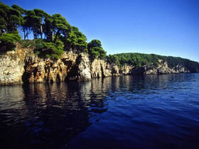 A stunning view of a serene coastline with lush greenery reflecting on calm waters, perfect for nature lovers and scenic boat tours.