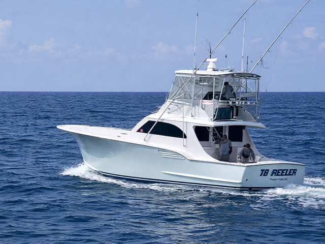 Listing image 1185365