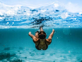 A snorkeler explores vibrant underwater life, showcasing the beauty of marine adventures — perfect for those seeking unforgettable experiences in crystal-clear waters.