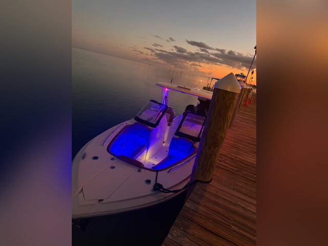 Listing image 1167383