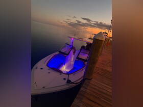 A stunning view of a yacht illuminated with blue lights, docked at sunset — perfect for evening cruises and romantic getaways.