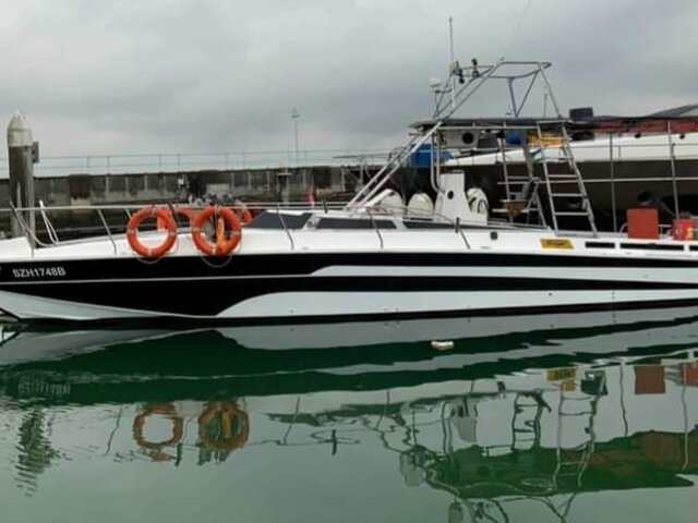 Listing image 1167387