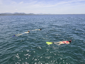 A group of snorkelers explores the vibrant underwater world in clear ocean waters, making for an exciting adventure on the water.