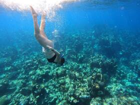 A snorkeler dives into vibrant underwater scenery, exploring the rich marine life and coral formations — a perfect highlight of an aquatic adventure.