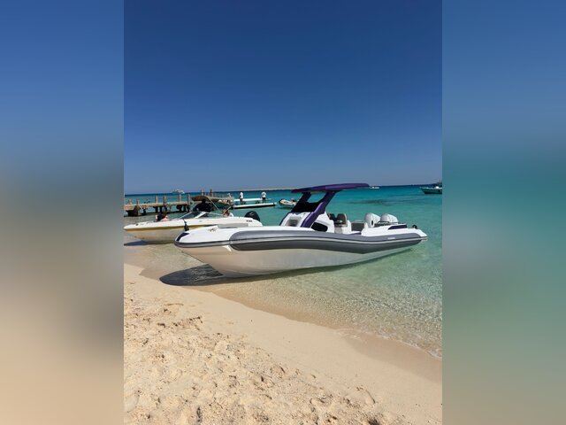 Listing image 1173731