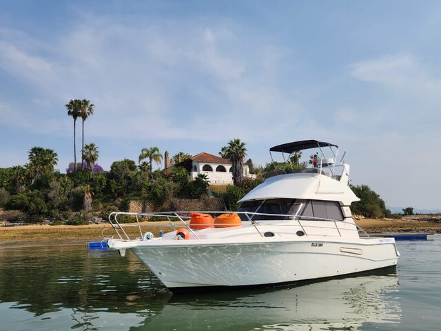 Listing image 1168216