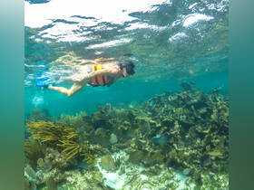 A snorkeler explores vibrant coral reefs underwater, showcasing the beauty of marine life and the thrill of snorkeling adventures.